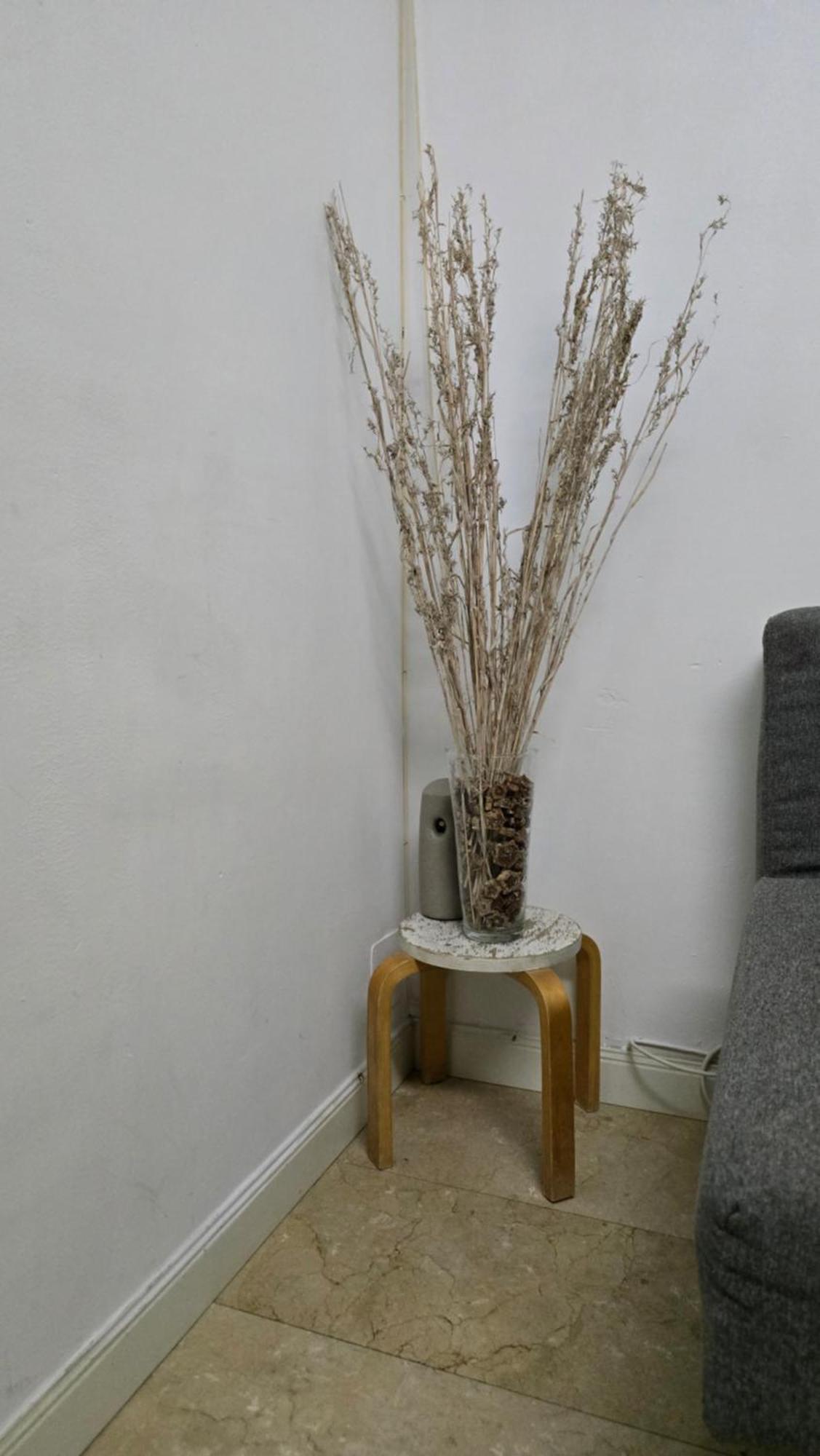 Mini Apartamento Lovely Chueca Madri Exterior foto